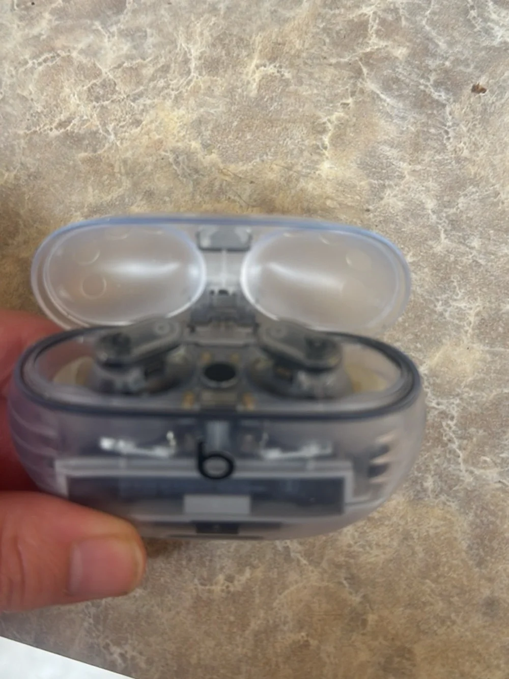 Beats earbuds and case